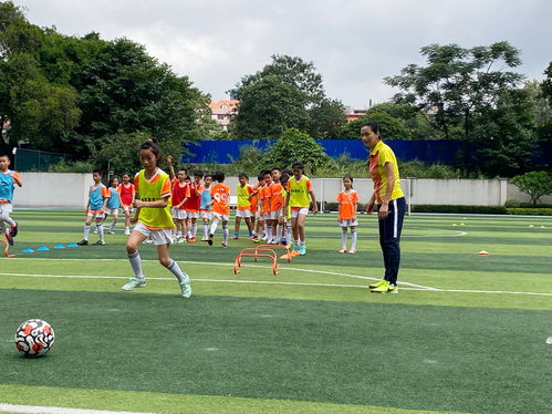 活力满校园，小学生体育运动项目全解析与成长价值