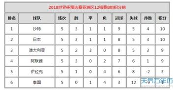 世界杯各组排名规则表，从积分到公平竞赛的完整解读