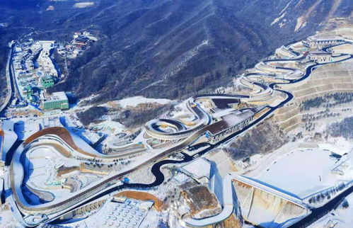 冰雪赛道上的飞驰者，雪车是冬奥会项目吗？