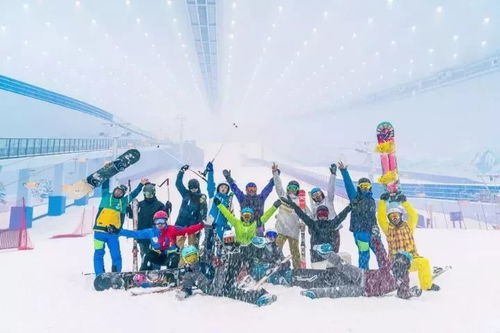 冬奥会首金，为何总在冰与雪之间？