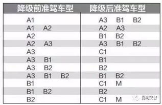 篮球记录表上的秘密语言,P究竟意味着什么? 篮球记录表上的秘密语言,P究竟意味着什么?