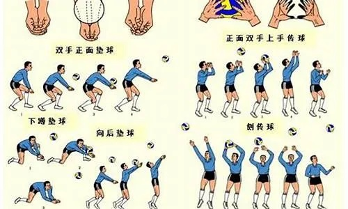 排球可以用头吗?从规则到实战的全解析 排球可以用头吗?从规则到实战的全解析