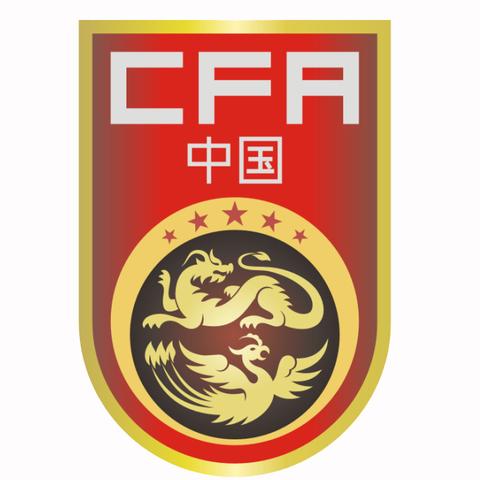 2026卡塔尔世界杯战绩表，新格局下的荣耀与遗憾