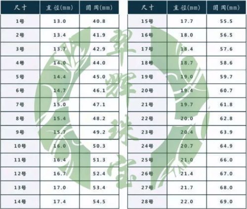 选对尺码,踢出风采,一份详尽的足球服尺码表选购指南 选对尺码,踢出风采,一份详尽的足球服尺码表选购指南